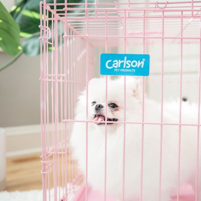 Image showing 8 th Carlson Pet Products Secure 1-Door Steel Dog Crate, 24 in., Pink