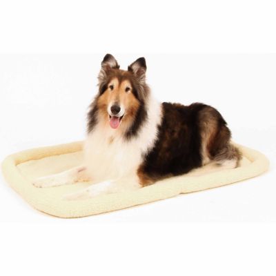 carlson pet cot