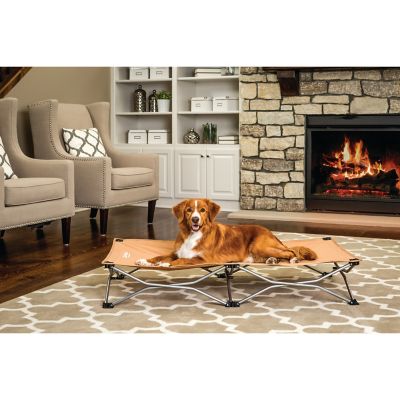 Image showing Carlson Pet Products Portable Rectangular Elevated Dog Bed