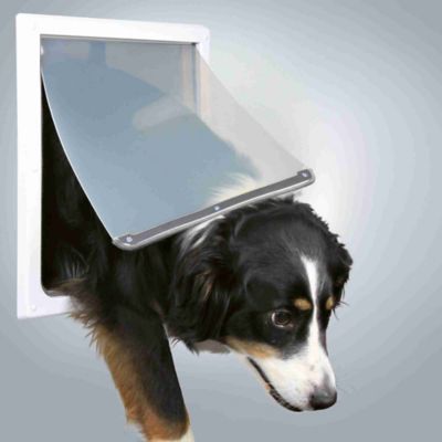 Image showing  2-Way Dog Door