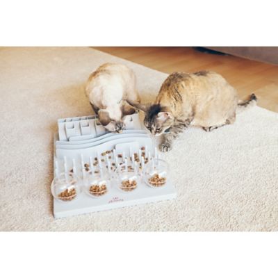 Image showing  Cat Activity Fun Board, Strategy Game, Interactive Play