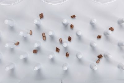 Image showing 6 th TRIXIE Cat Activity Fun Board, Strategy Game, Interactive Play