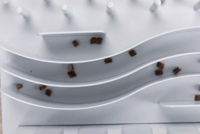 Image showing 7 th TRIXIE Cat Activity Fun Board, Strategy Game, Interactive Play