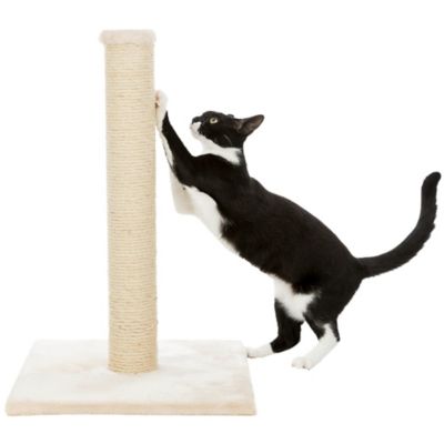 Image showing  Parla Durable Sisal Rope Cat Scratching Post, 24.5 in.