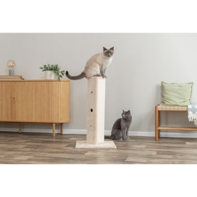 Image showing  Soria Hide-n-Seek Plush Cat Scratching Post with Peek-a-Boo Cutouts, 32 in., Beige
