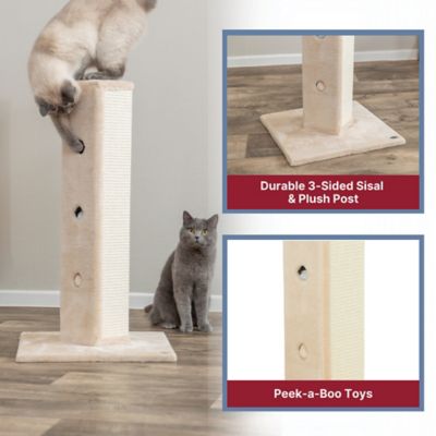 Image showing  Soria Hide-n-Seek Plush Cat Scratching Post with Peek-a-Boo Cutouts, 32 in., Beige