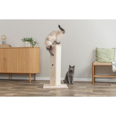 Image showing 5 th TRIXIE Soria Hide-n-Seek Plush Cat Scratching Post with Peek-a-Boo Cutouts, 32 in., Beige