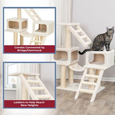 Image showing  Malaga Cat Playground