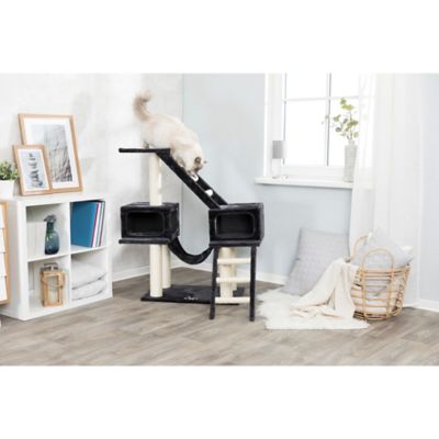 Image showing  Malaga Cat Playground