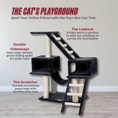 Image showing  Malaga Cat Playground