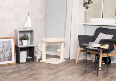 Image showing  Plush Fabric Baza Cat Scratching Post with Hammock, Brush Scratcher and Dangling Pom-Pom, 19.5 in., Cream