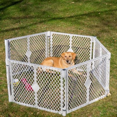 Dog Pens Tractor Supply