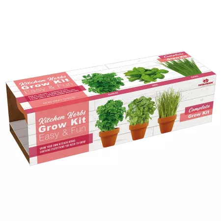 Totalgreen Kitchen Terracotta Herb Grow Kit 3 Pack Succulents & House Plants