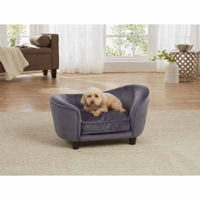 gray dog sofa
