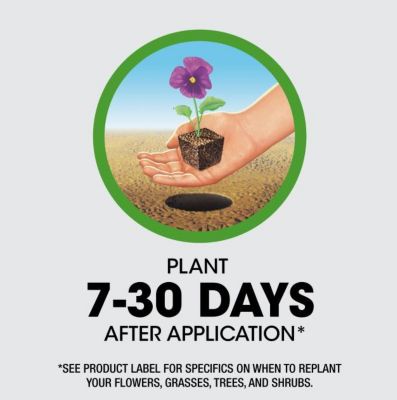 Image showing  1.33 gal. Poison Ivy Plus Tough Brush Killer with Comfort Wand, Ready-to-Use