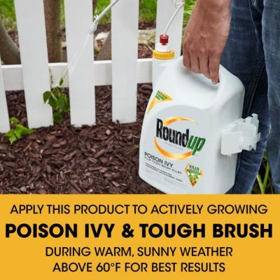 Image showing  1.33 gal. Poison Ivy Plus Tough Brush Killer with Comfort Wand, Ready-to-Use