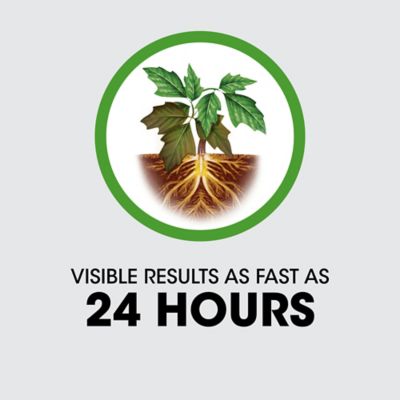 Image showing 11 th Roundup 1.33 gal. Poison Ivy Plus Tough Brush Killer with Comfort Wand, Ready-to-Use