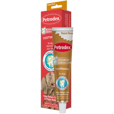 Image showing  Petrodex Veterinary Strength Dog Peanut Flavor Dental Kit