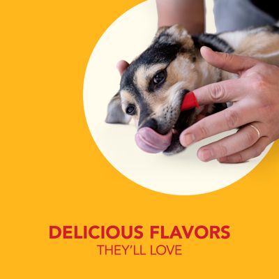 Image showing  Petrodex Veterinary Strength Dog Peanut Flavor Dental Kit