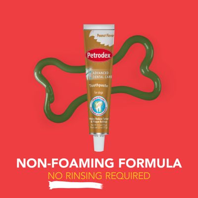 Image showing  Petrodex Veterinary Strength Dog Peanut Flavor Dental Kit