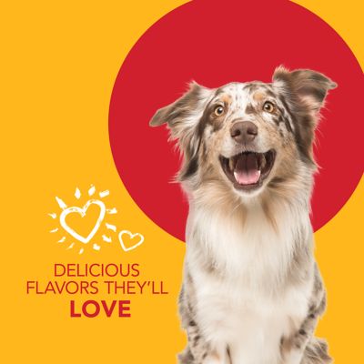 Image showing 5 th Sentry Petrodex Veterinary Strength Dog Peanut Flavor Dental Kit