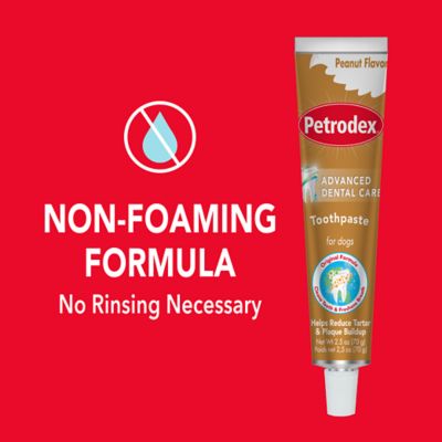 Image showing 9 th Sentry Petrodex Veterinary Strength Dog Peanut Flavor Dental Kit