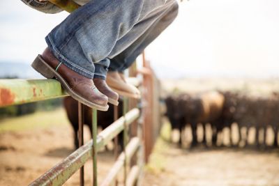 Image showing 5 th Ariat Women's Fatbaby Heritage Dapper Western Boots
