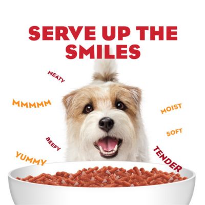 Image showing  Adult Steak Flavor Dry Soft Dog Food
