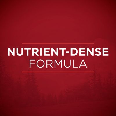 Image showing 8 th Purina ONE True Instinct Tender Cuts in Gravy Real Turkey and Venison Wet Dog Food, 13 oz.