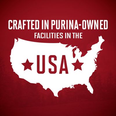 Image showing 9 th Purina ONE True Instinct Tender Cuts in Gravy Real Turkey and Venison Wet Dog Food, 13 oz.