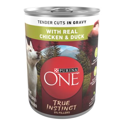 Purina ONE True Instinct Tender Cuts in Gravy Real Chicken and Duck Wet Dog Food, 13 oz.