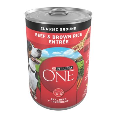 Purina ONE Natural Adult Classic Ground Beef and Brown Rice Entree Recipe Wet Dog Food, 13 oz.