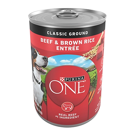Purina ONE Natural Classic Ground Wet Dog Food, Beef and Brown Rice Entree - 13 oz. Can