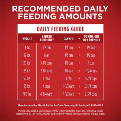 Image showing 6 th Purina ONE Classic Ground Beef and Brown Rice Entree Wet Dog Food, 13 oz.