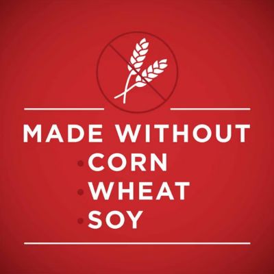 Image showing 7 th Purina ONE Classic Ground Beef and Brown Rice Entree Wet Dog Food, 13 oz.