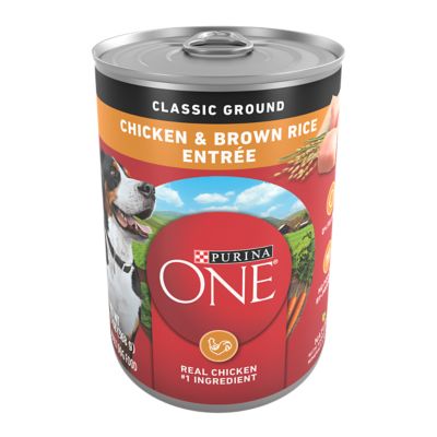 Purina ONE Classic Ground Chicken and Brown Rice Entree Wet Dog Food, 13 oz.