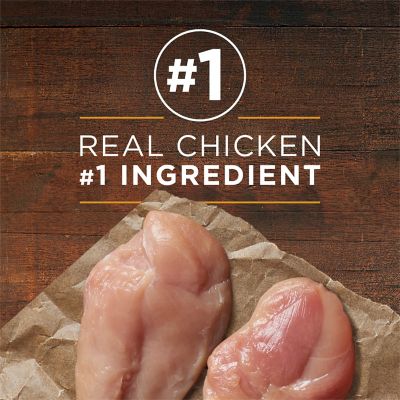 Image showing  Classic Ground Chicken and Brown Rice Entre Wet Dog Food, 13 oz.