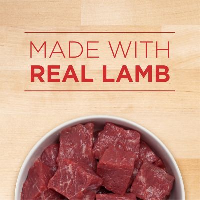 Image showing  +Plus Classic Ground Healthy Puppy Lamb and Long Grain Rice Wet Dog Food, 13 oz.