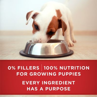 Image showing 7 th Purina ONE +Plus Classic Ground Healthy Puppy Lamb and Long Grain Rice Wet Dog Food, 13 oz.