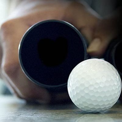 Image showing  Wet and Dry Vacuum Accessories, Extra Long Wet and Dry Vacuum Hose, 2-1/2 in. x 20 ft., 4 pc.