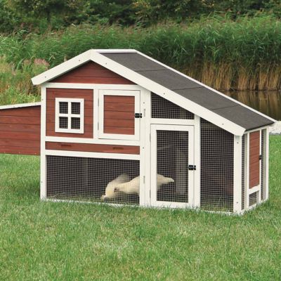 Trixie Pet Products Chicken Coop With A View Brownwhite At Tractor Supply Co