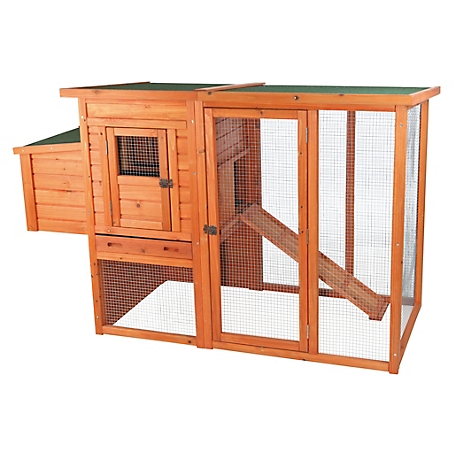 How To Insulate a Chicken Coop – Forestry Reviews