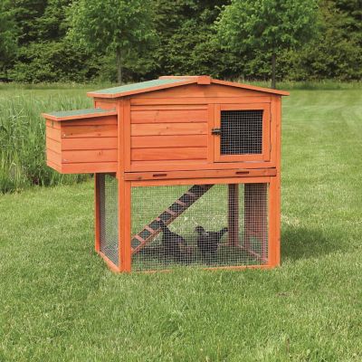 Trixie Pet Products 2 Story Chicken Coop With Outdoor Run At Tractor Supply Co