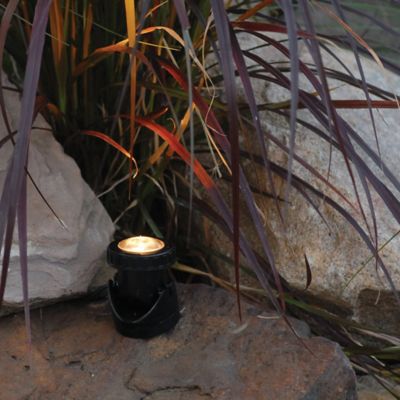 Image showing  Fountain and Landscape Light