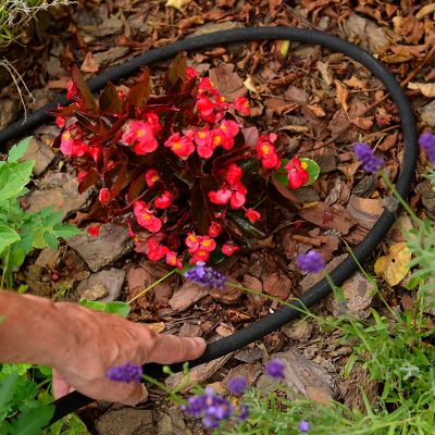 Image showing 5 th Element 3/8 in. x 250 ft. SoakerPRO Soaker Water Hose