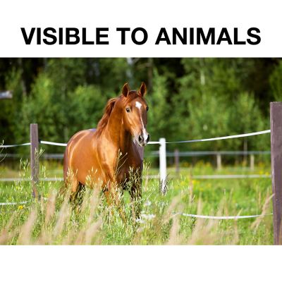 Image showing  500 ft. x 890 lb. Polytape Electric Fencing, White