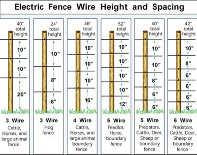 Image showing  200 ft. x 698 lb. Galvanized Steel Electric Fence Wire