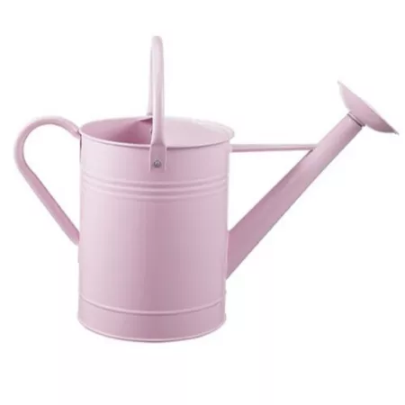 GroundWork 1.5 gal Watering can Watering Cans