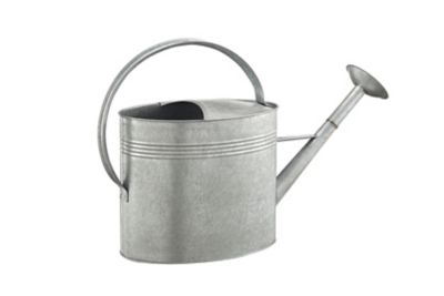 GroundWork 2 gal. Metal Watering Can