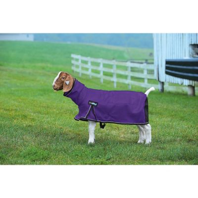 Weaver Leather Livestock ProCool Couverture en forme de mouton Violet Taille M